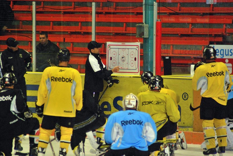 Krefeld Pinguine Training